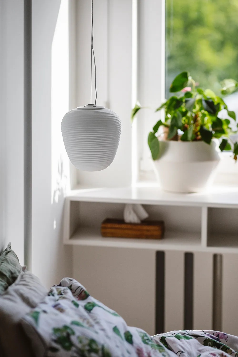 Solec wnętrze - zdjęcie