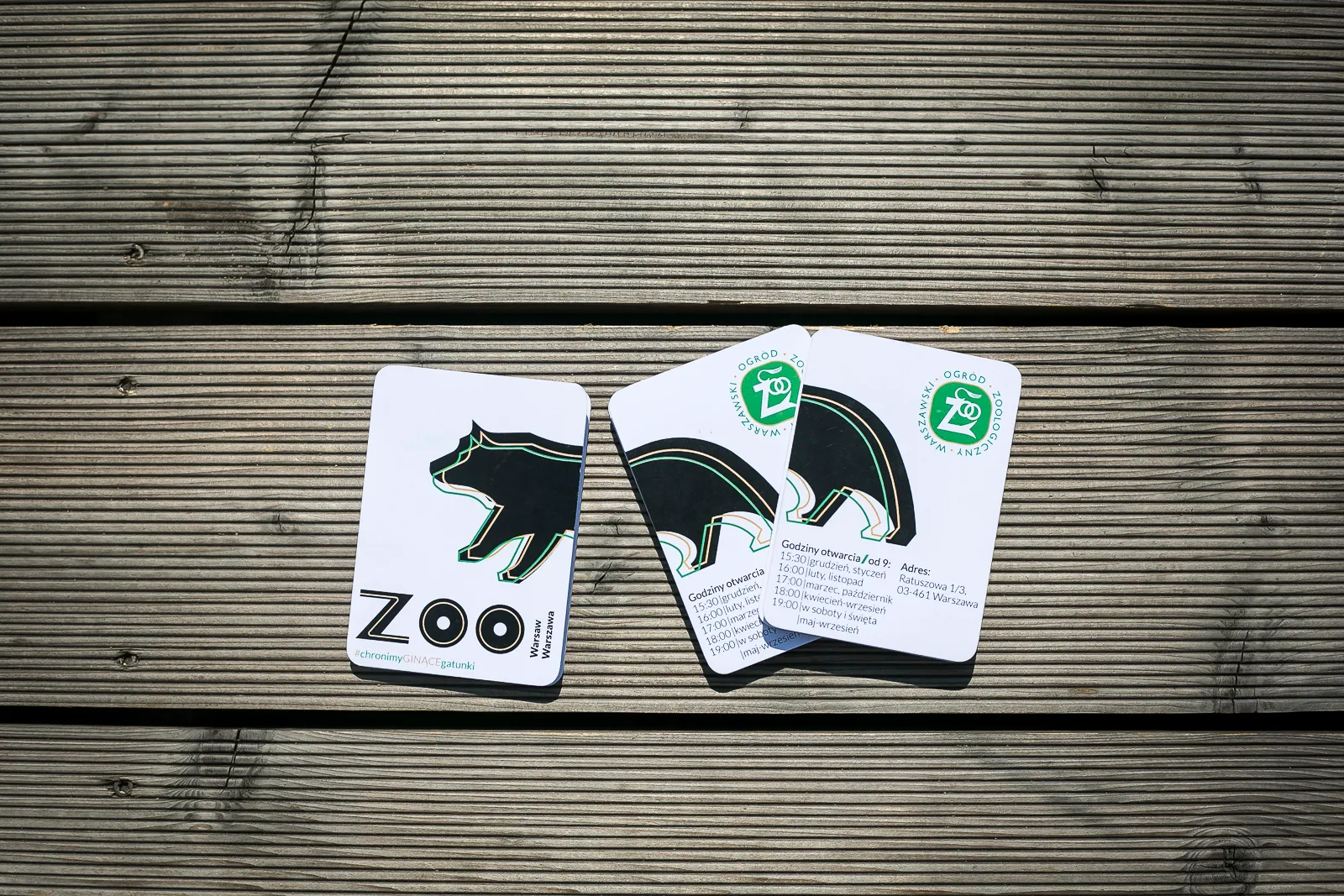 Zdjęcie projektu ZOO